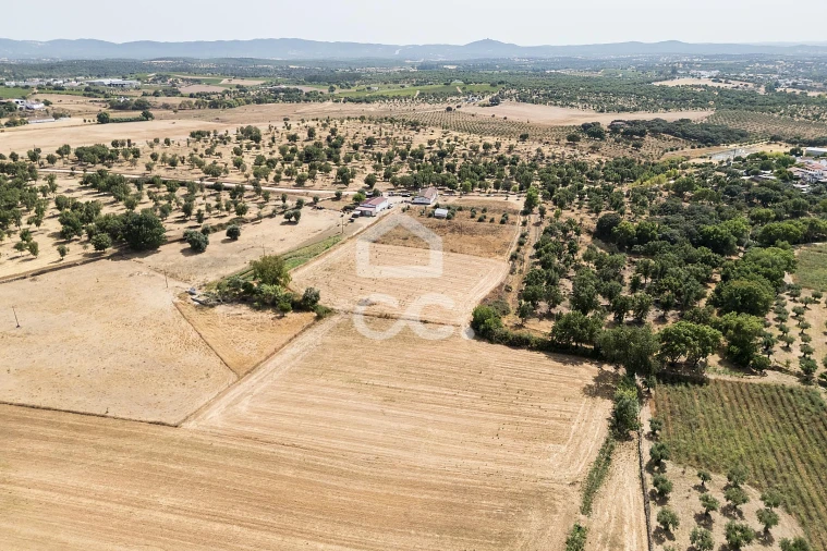 Quinta T2 para Venda em Ameixial (Santa Vitória e São Bento) Foto 46
