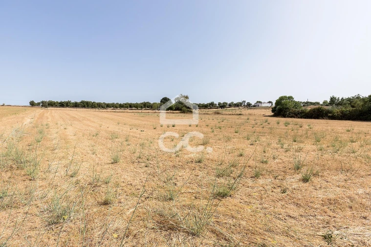 Quinta T2 para Venda em Ameixial (Santa Vitória e São Bento) Foto 33