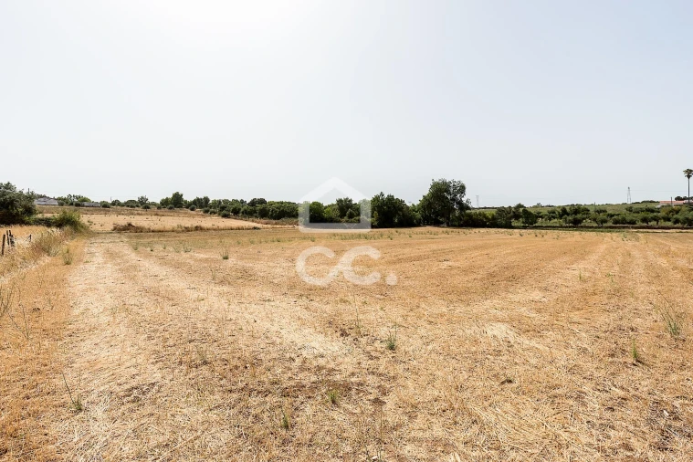 Quinta T2 para Venda em Ameixial (Santa Vitória e São Bento) Foto 34