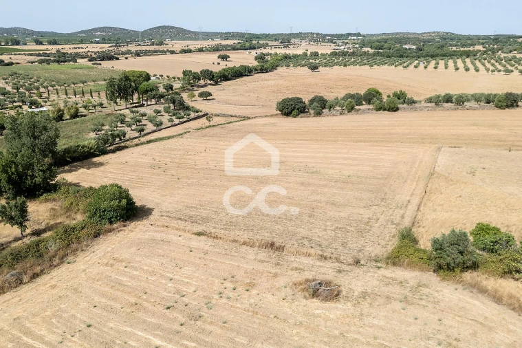 Quinta T2 para Venda em Ameixial (Santa Vitória e São Bento) Foto 63