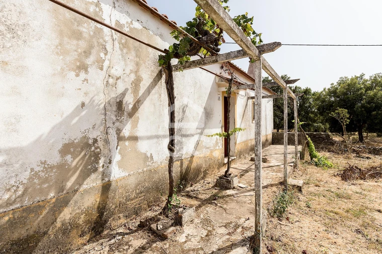 Quinta T2 para Venda em Ameixial (Santa Vitória e São Bento) Foto 21