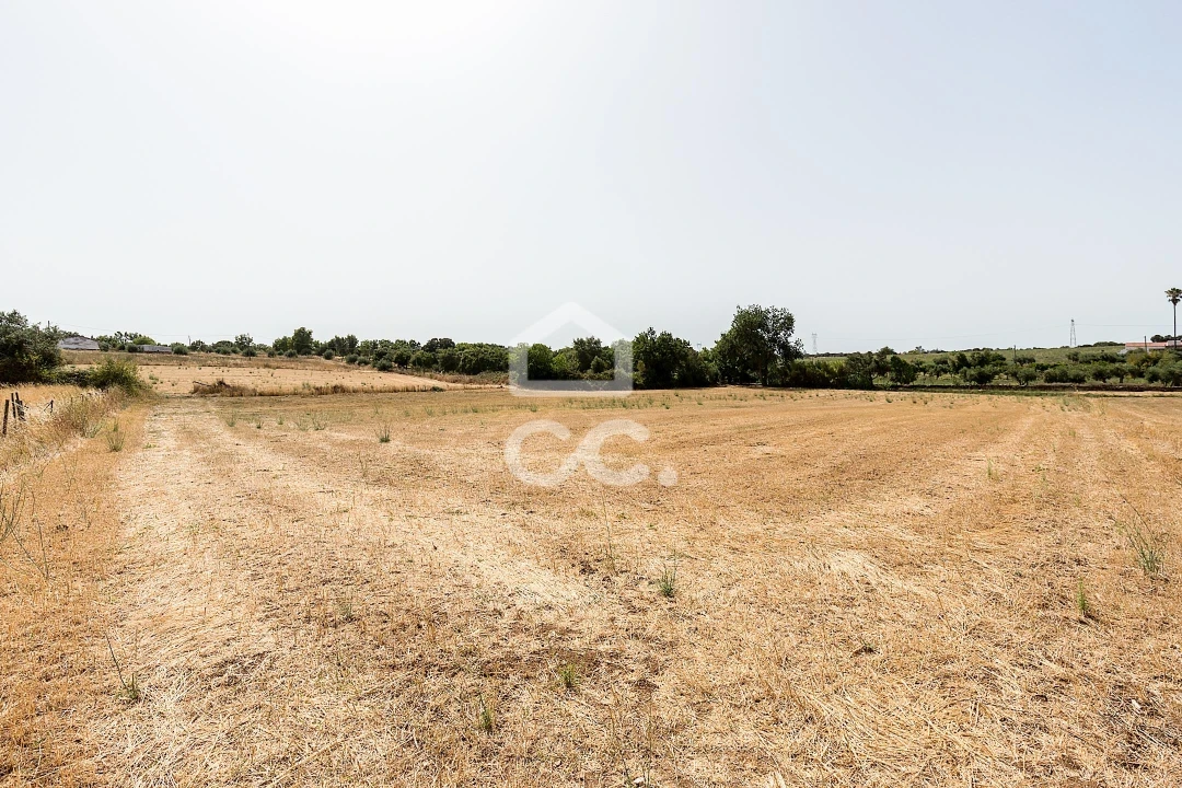 Quinta T2 para Venda em Ameixial (Santa Vitória e São Bento) Foto 34