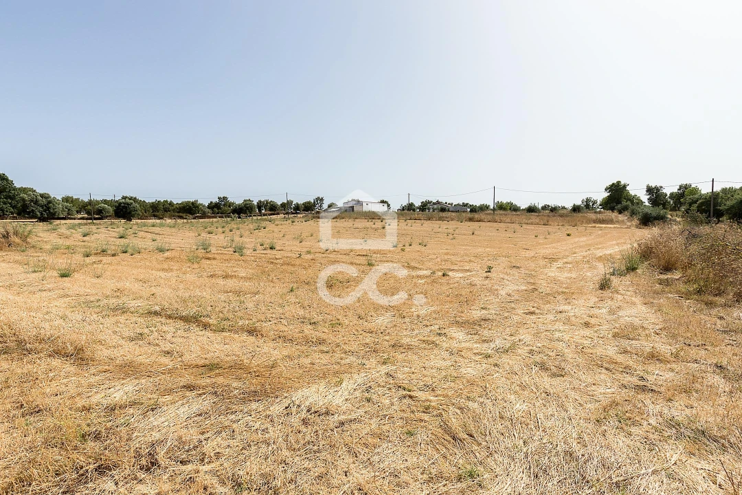 Quinta T2 para Venda em Ameixial (Santa Vitória e São Bento) Foto 31