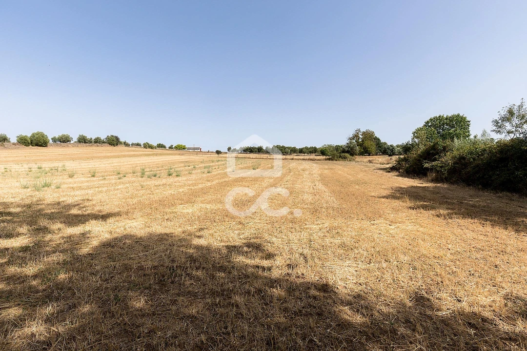 Quinta T2 para Venda em Ameixial (Santa Vitória e São Bento) Foto 32