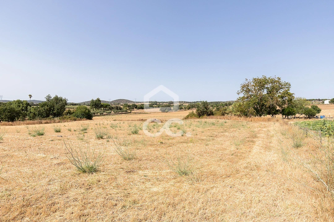 Quinta T2 para Venda em Ameixial (Santa Vitória e São Bento) Foto 38