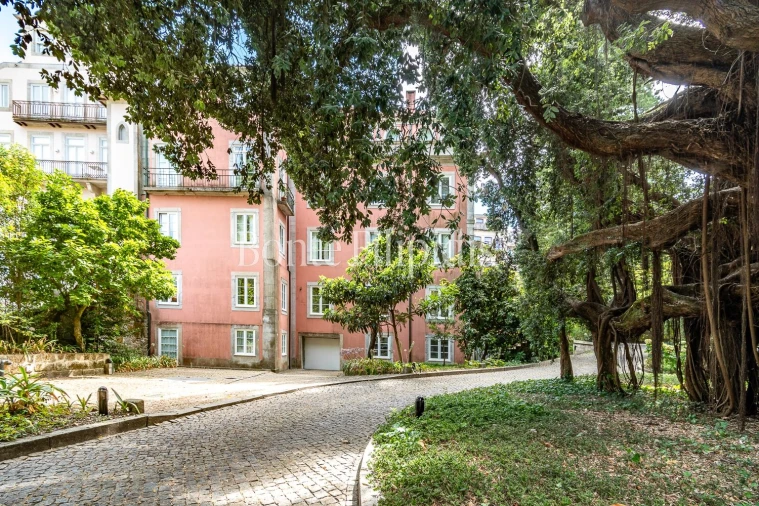 Apartamento T4 para Arrendamento em Cedofeita, Santo Ildefonso, Sé, Miragaia, São Nicolau e Vitória Foto 3