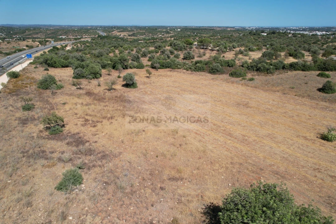 Terreno para Venda em Mexilhoeira Grande Foto 1