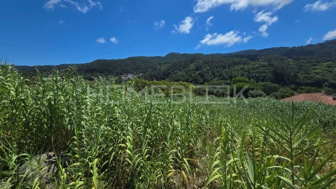 Terreno para Venda em Colares