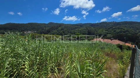 Terreno para Venda em Colares