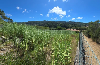 Terreno para Venda em Colares