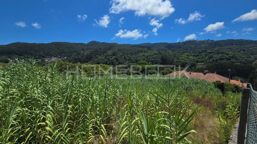 Terreno para Venda em Colares Foto 2
