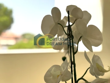 Apartamento T2 para Venda em Almancil