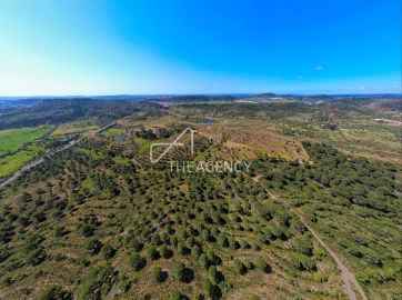 Quinta para Venda em São Bartolomeu de Messines