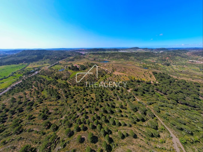 Quinta para Venda em São Bartolomeu de Messines Foto 2