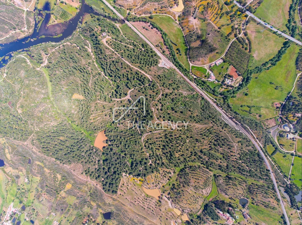 Quinta para Venda em São Bartolomeu de Messines Foto 3