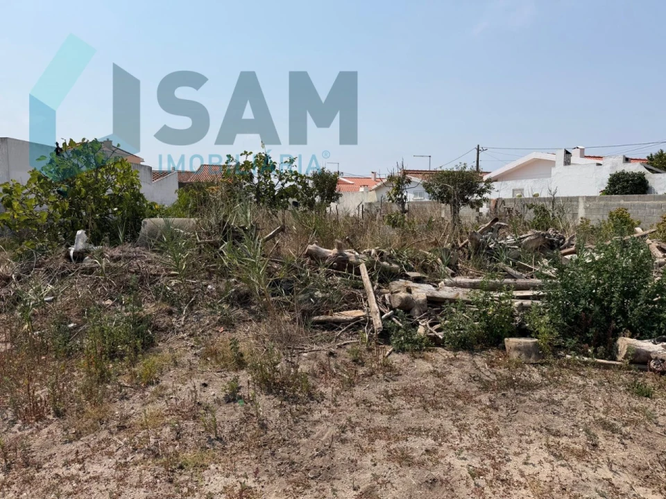 Terreno para Venda em Dois Portos e Runa Foto 6
