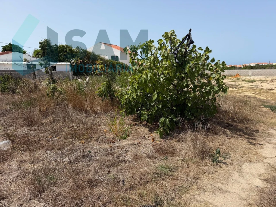 Terreno para Venda em Dois Portos e Runa Foto 12