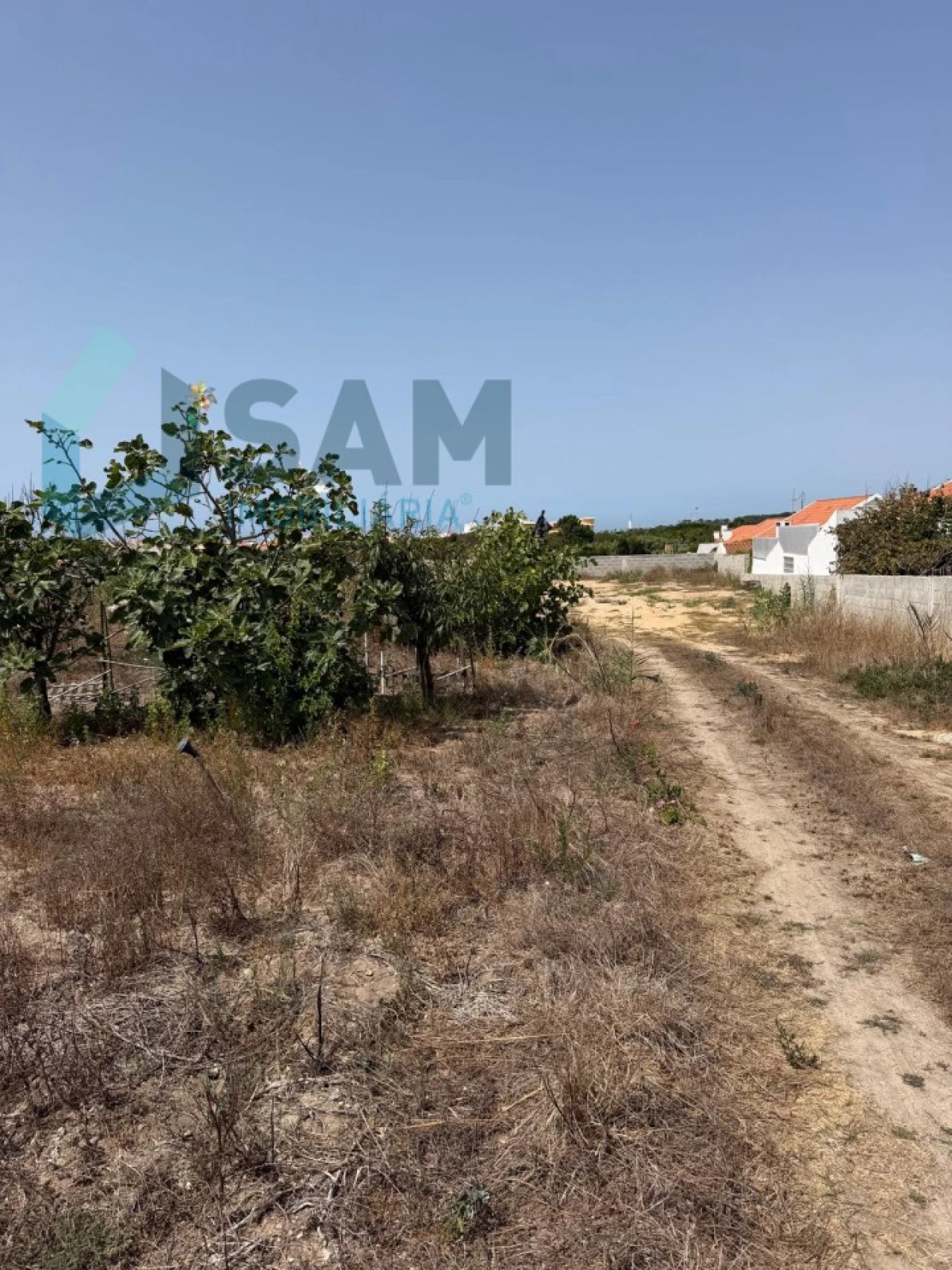 Terreno para Venda em Dois Portos e Runa Foto 13