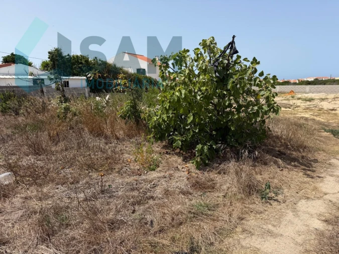 Terreno para Venda em Dois Portos e Runa Foto 12