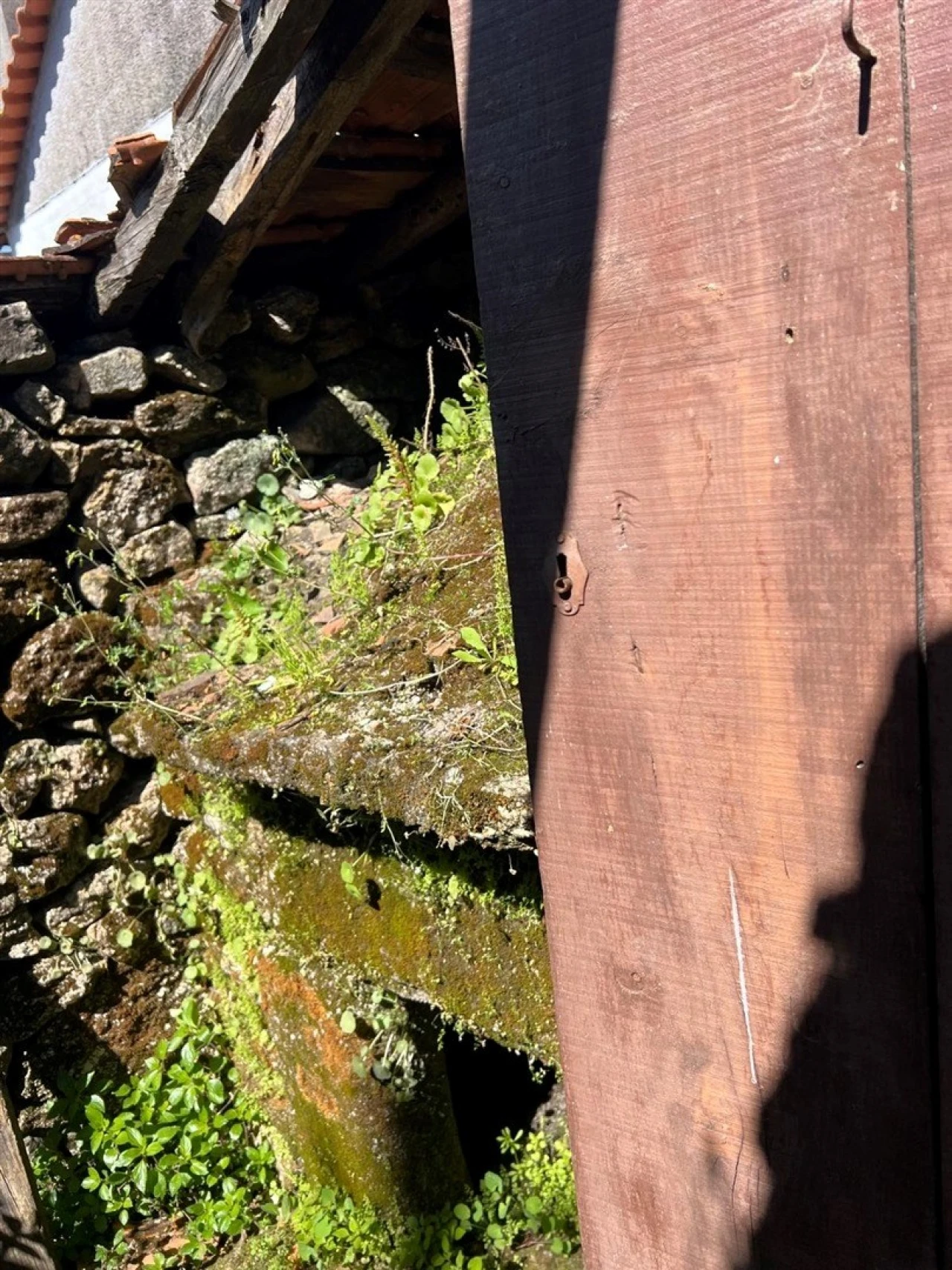 Moradia T0 para Venda em Cortiçô da Serra, Vide Entre Vinhas e Salgueirais Foto 5