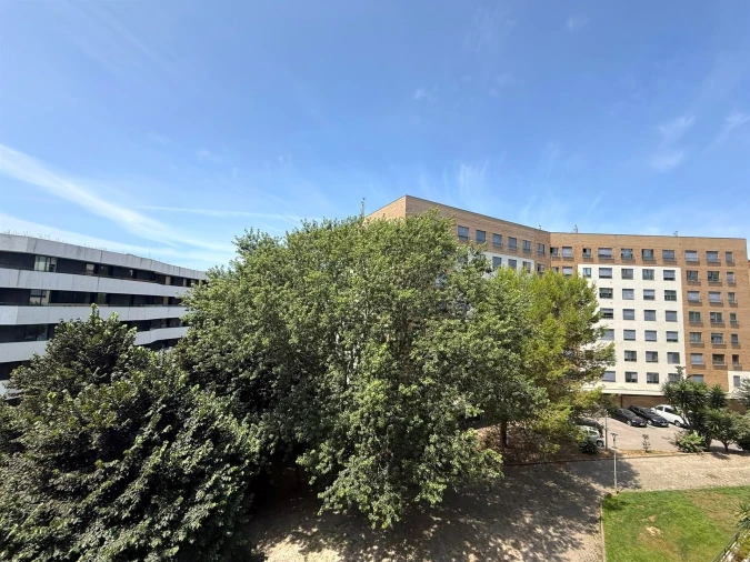 Apartamento T3 para Arrendamento em Aldoar, Foz do Douro e Nevogilde Foto 18