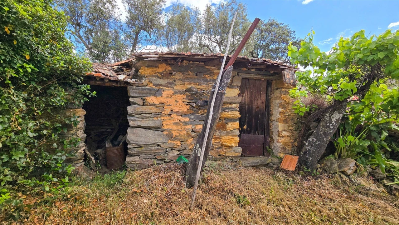 Quinta T3 para Venda em Sarzedas Foto 7