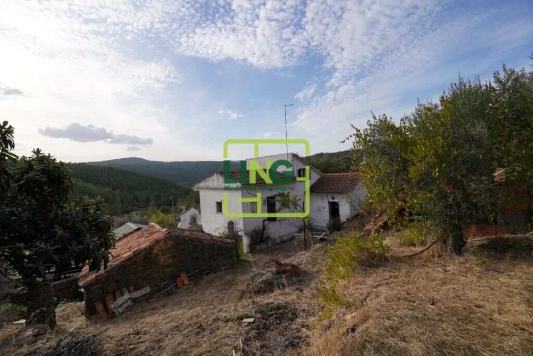 Quinta T3 para Venda em Sarzedas Foto 1