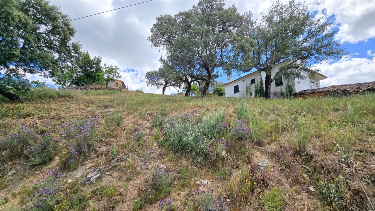 Quinta T3 para Venda em Sarzedas Foto 55