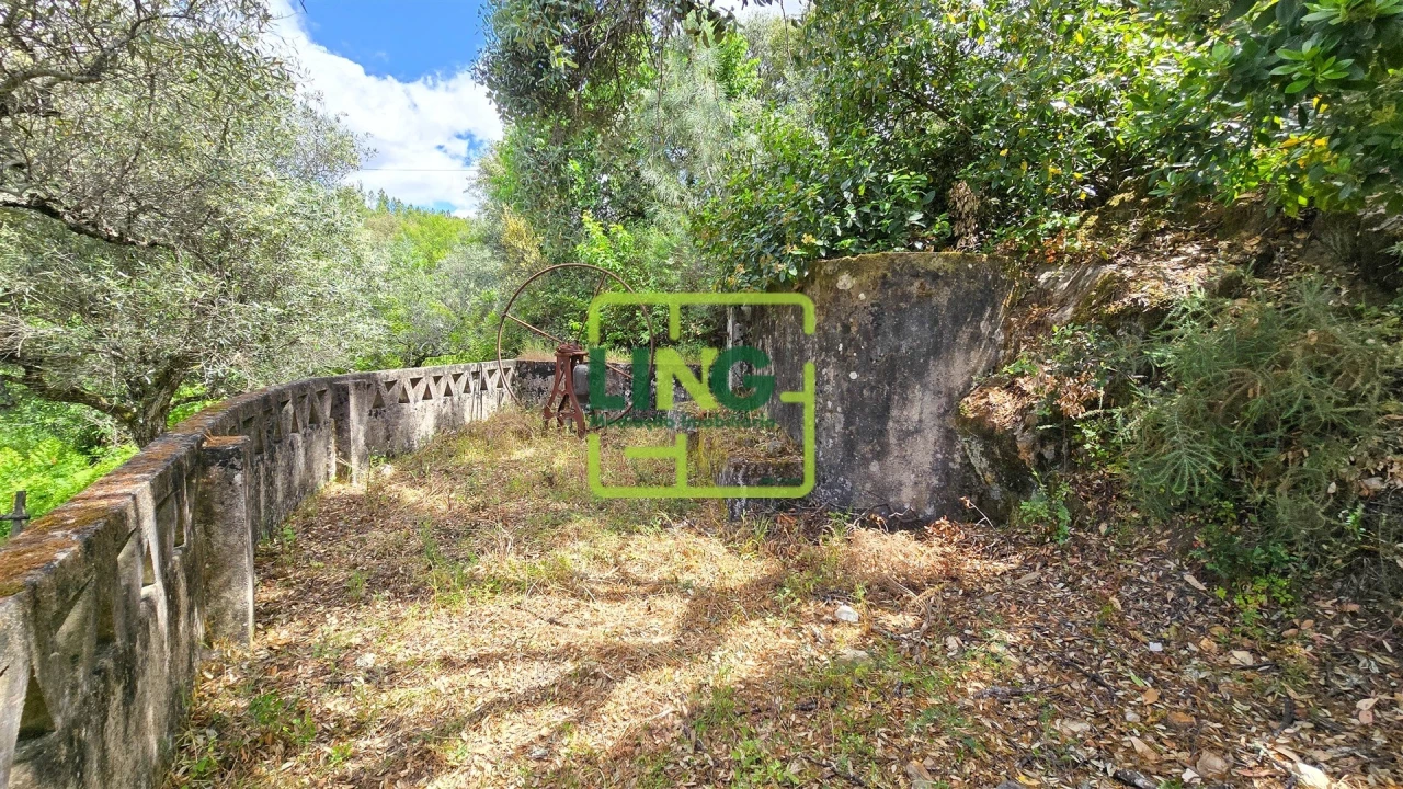 Quinta T3 para Venda em Sarzedas Foto 53