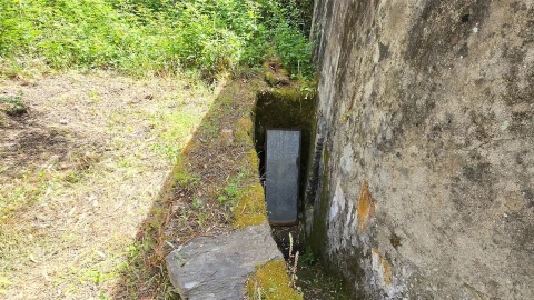 Quinta T3 para Venda em Sarzedas