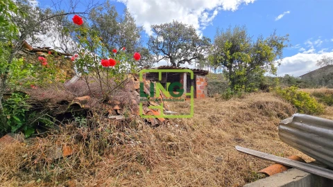 Quinta T3 para Venda em Sarzedas