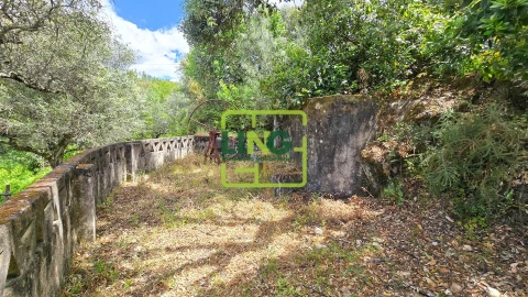 Quinta T3 para Venda em Sarzedas