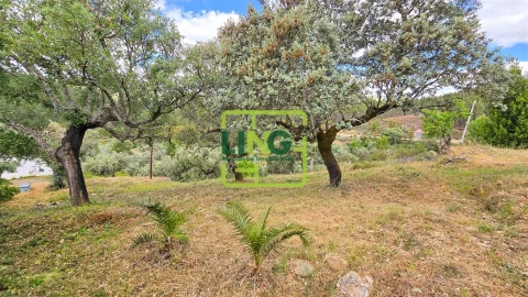 Quinta T3 para Venda em Sarzedas