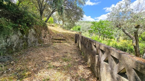 Quinta T3 para Venda em Sarzedas