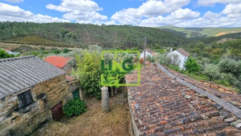 Quinta T3 para Venda em Sarzedas