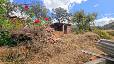 Quinta T3 para Venda em Sarzedas