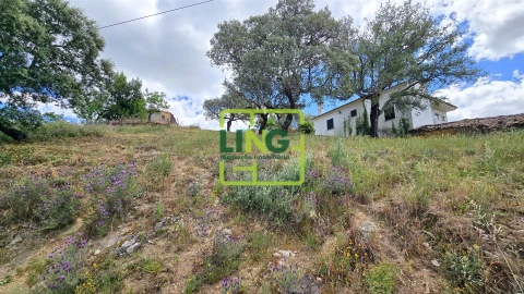 Quinta T3 para Venda em Sarzedas