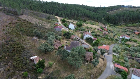 Quinta T3 para Venda em Sarzedas