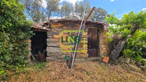 Quinta T3 para Venda em Sarzedas