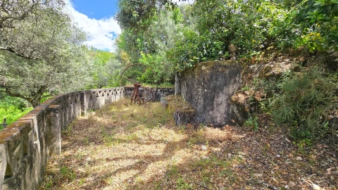 Quinta T3 para Venda em Sarzedas