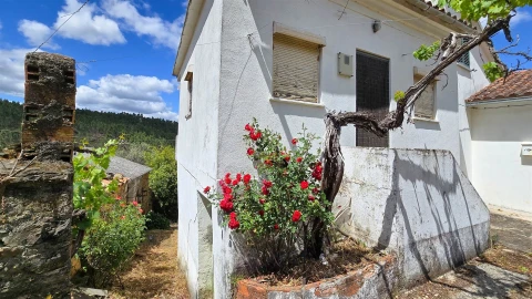 Quinta T3 para Venda em Sarzedas