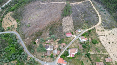 Quinta T3 para Venda em Sarzedas