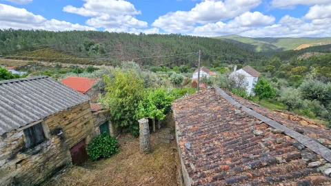 Quinta T3 para Venda em Sarzedas