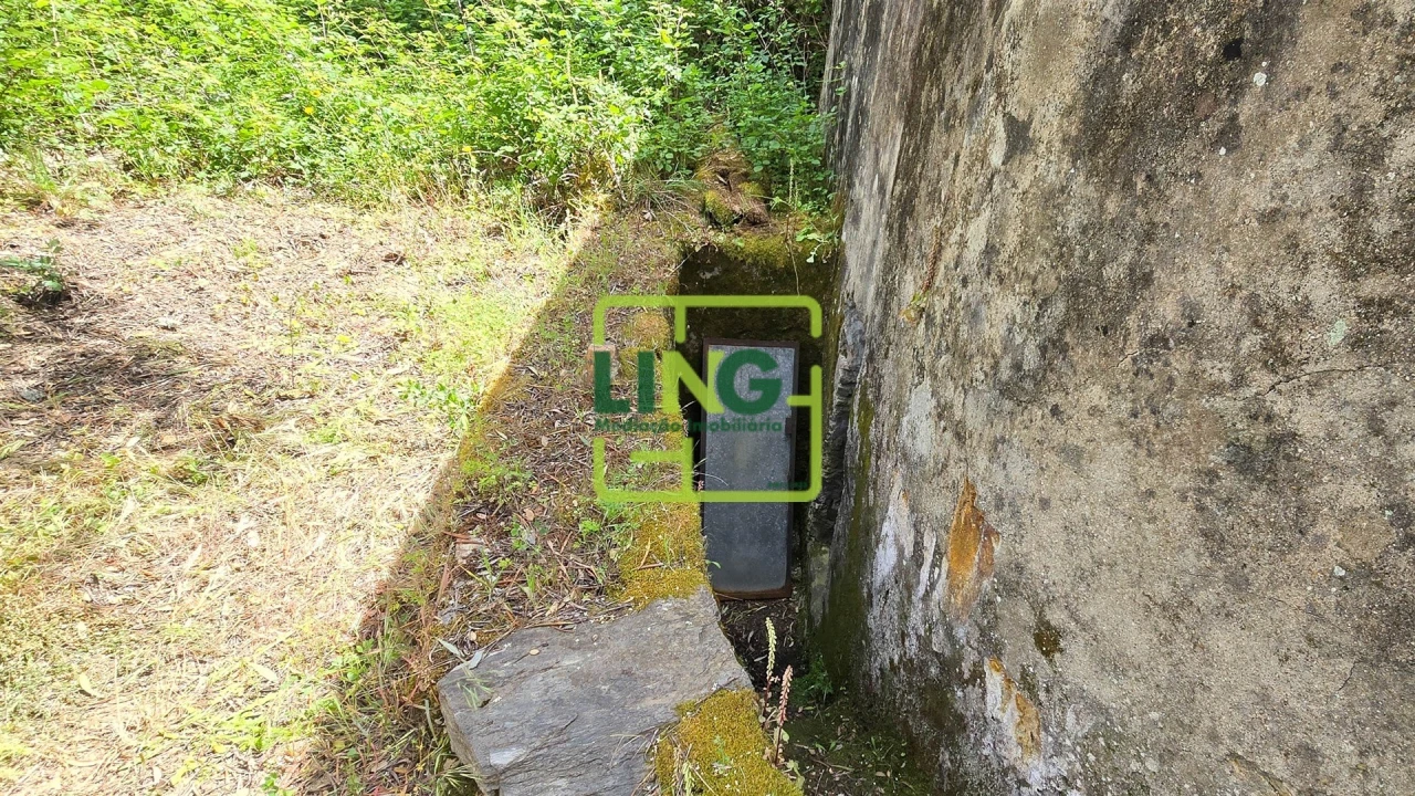 Quinta T3 para Venda em Sarzedas Foto 56