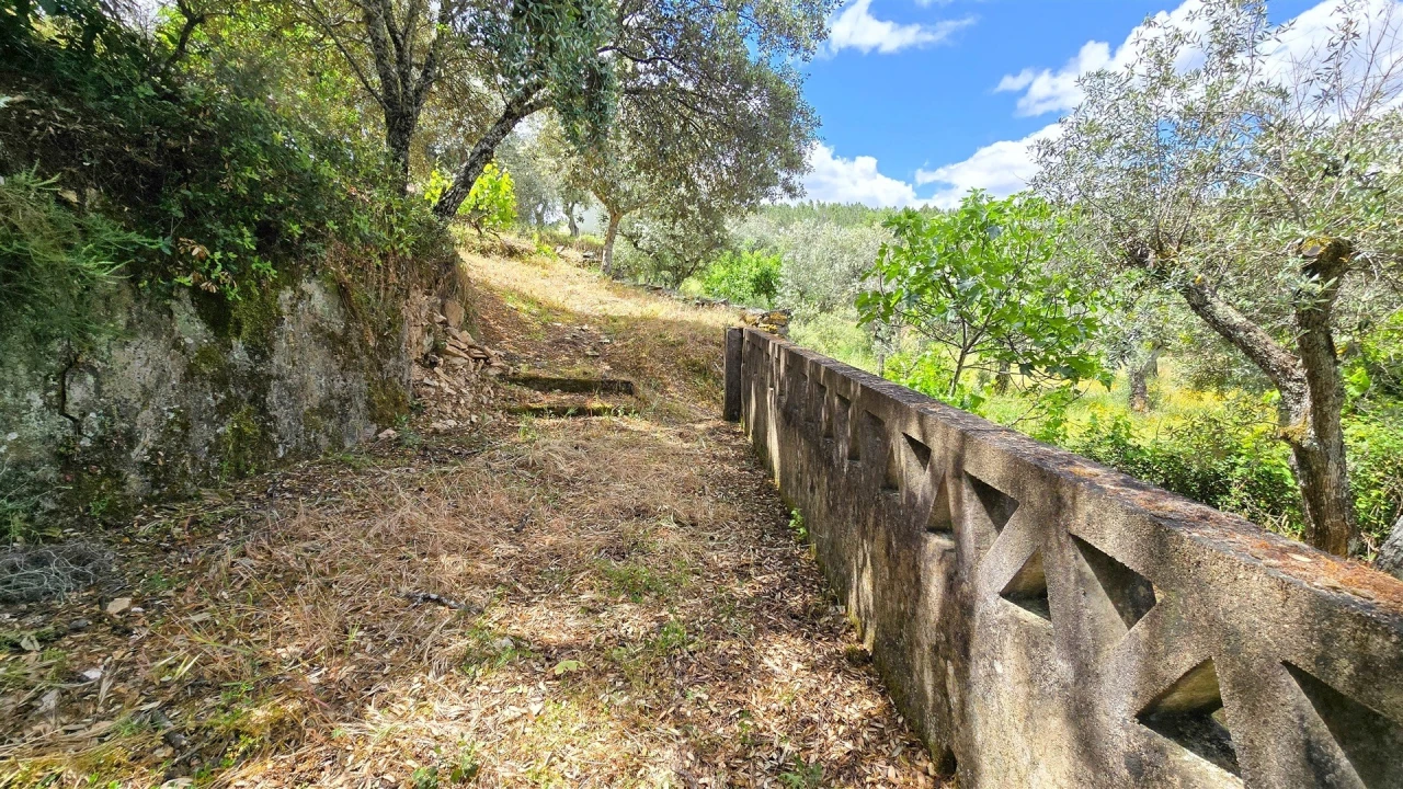 Quinta T3 para Venda em Sarzedas Foto 57