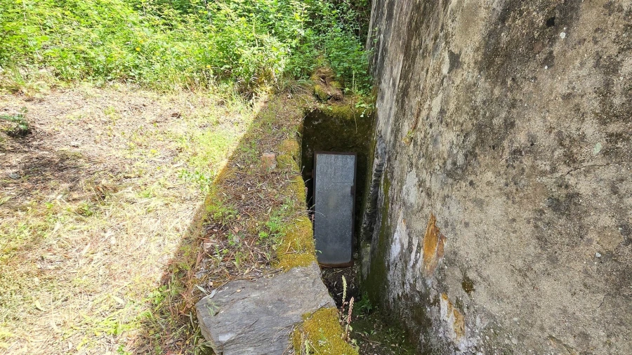 Quinta T3 para Venda em Sarzedas Foto 61