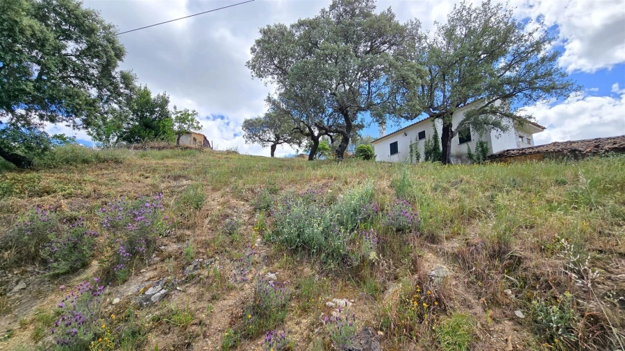 Quinta T3 para Venda em Sarzedas Foto 55