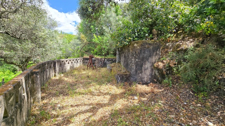 Quinta T3 para Venda em Sarzedas Foto 58