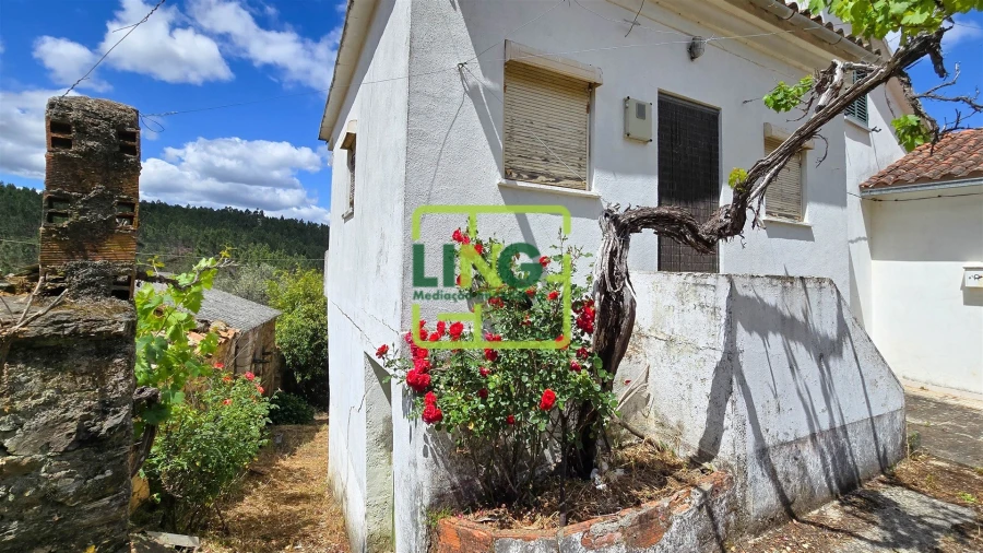 Quinta T3 para Venda em Sarzedas Foto 36