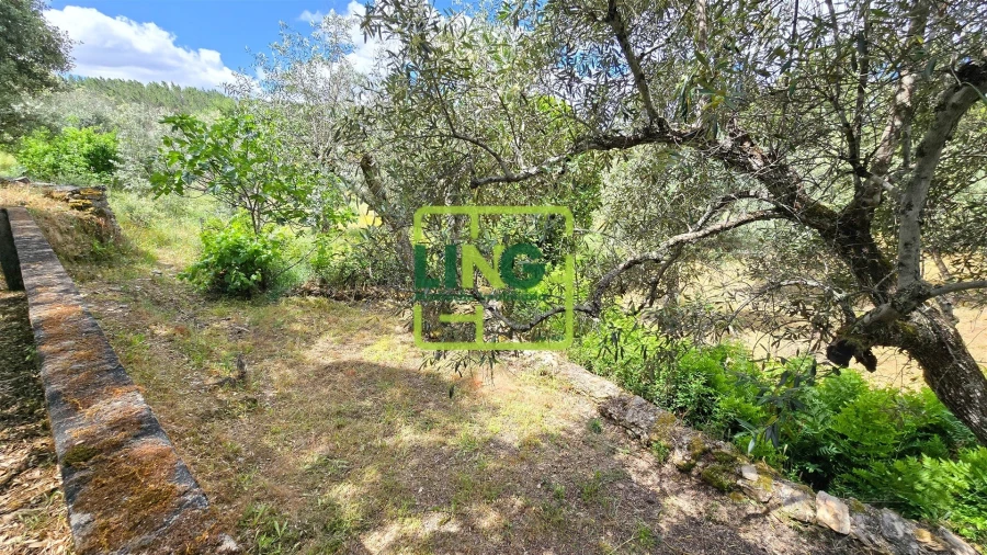 Quinta T3 para Venda em Sarzedas Foto 55
